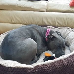 Meet your Posher, Jd